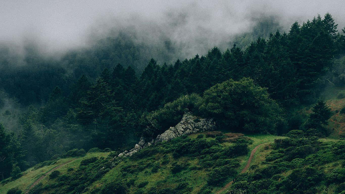 Fondode Pantalla Verde Estético De Montaña Con Niebla. Fondo de pantalla