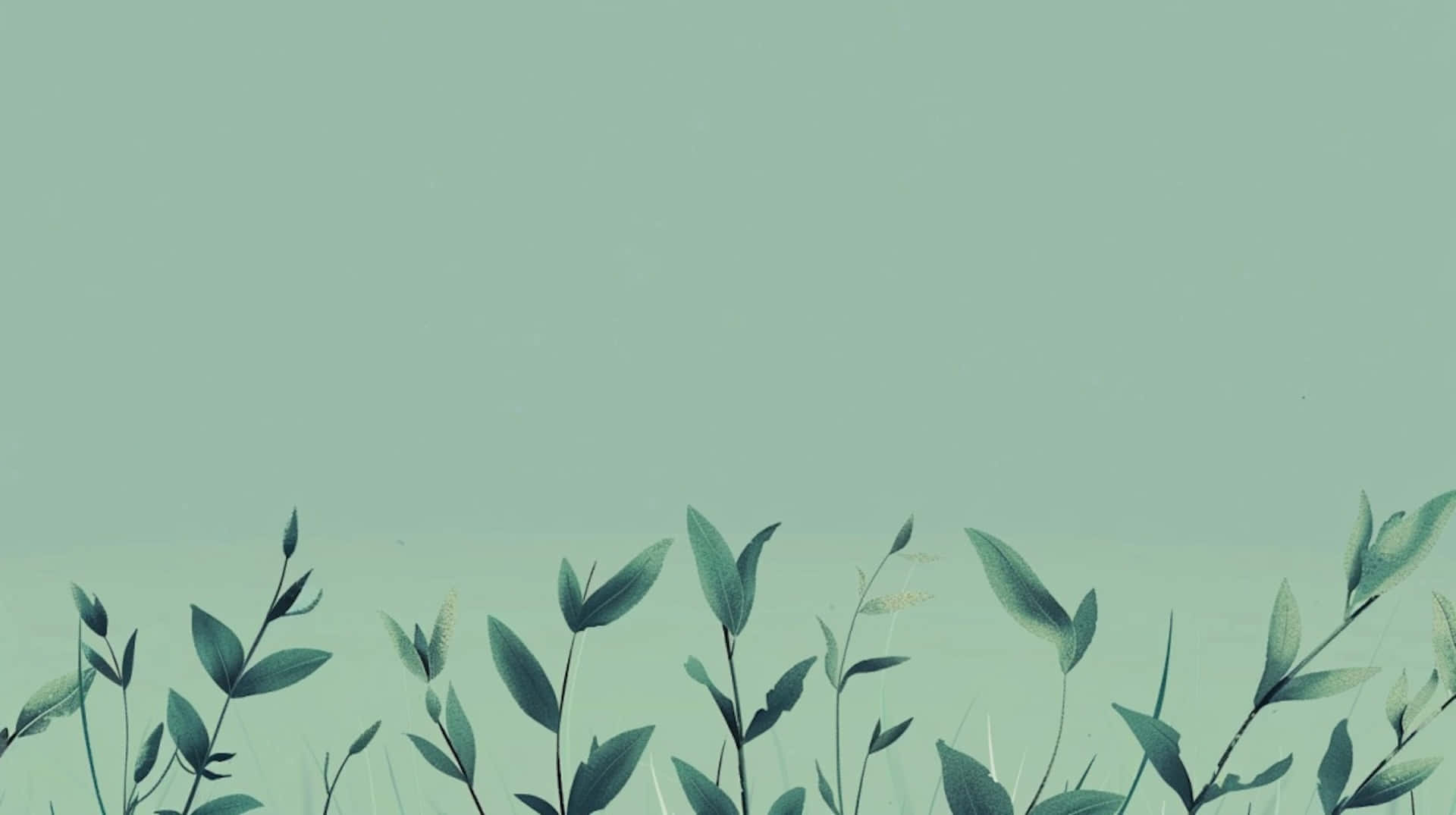 Green Aesthetic Floral Background Wallpaper
