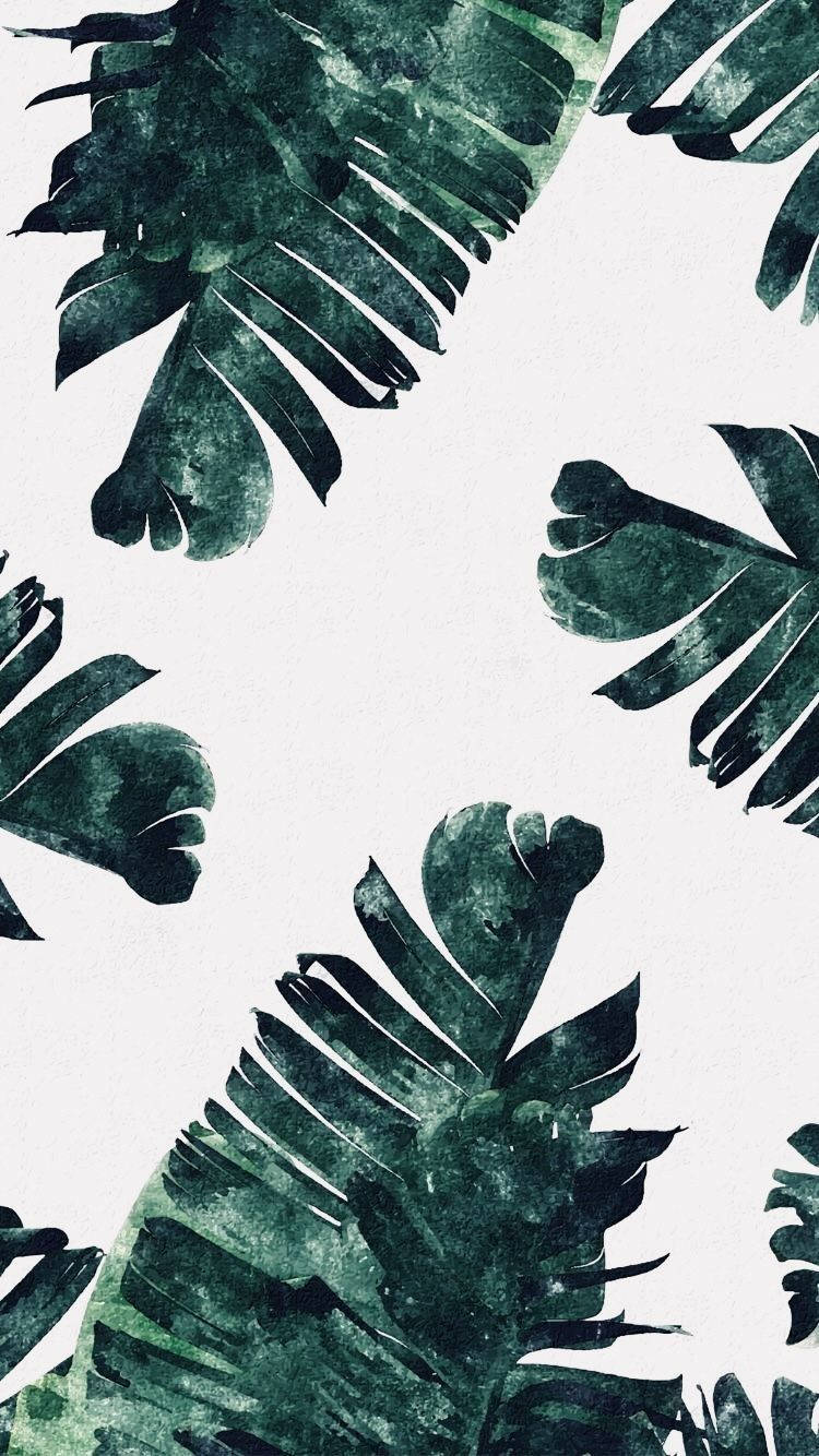 Unlock aesthetic with this rustic green iPhone Wallpaper