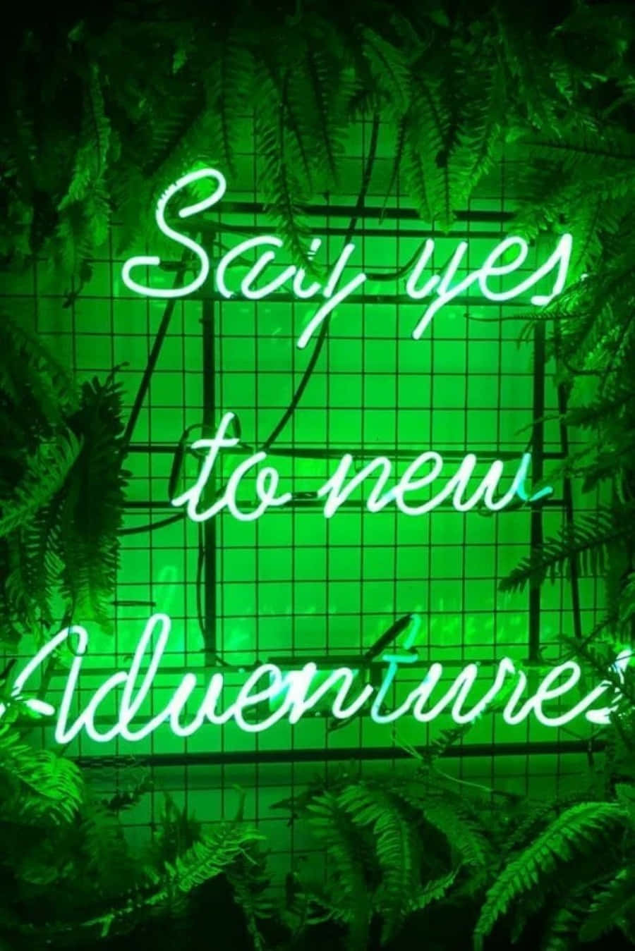 Download Green Adventure Aesthetic Picture | Wallpapers.com