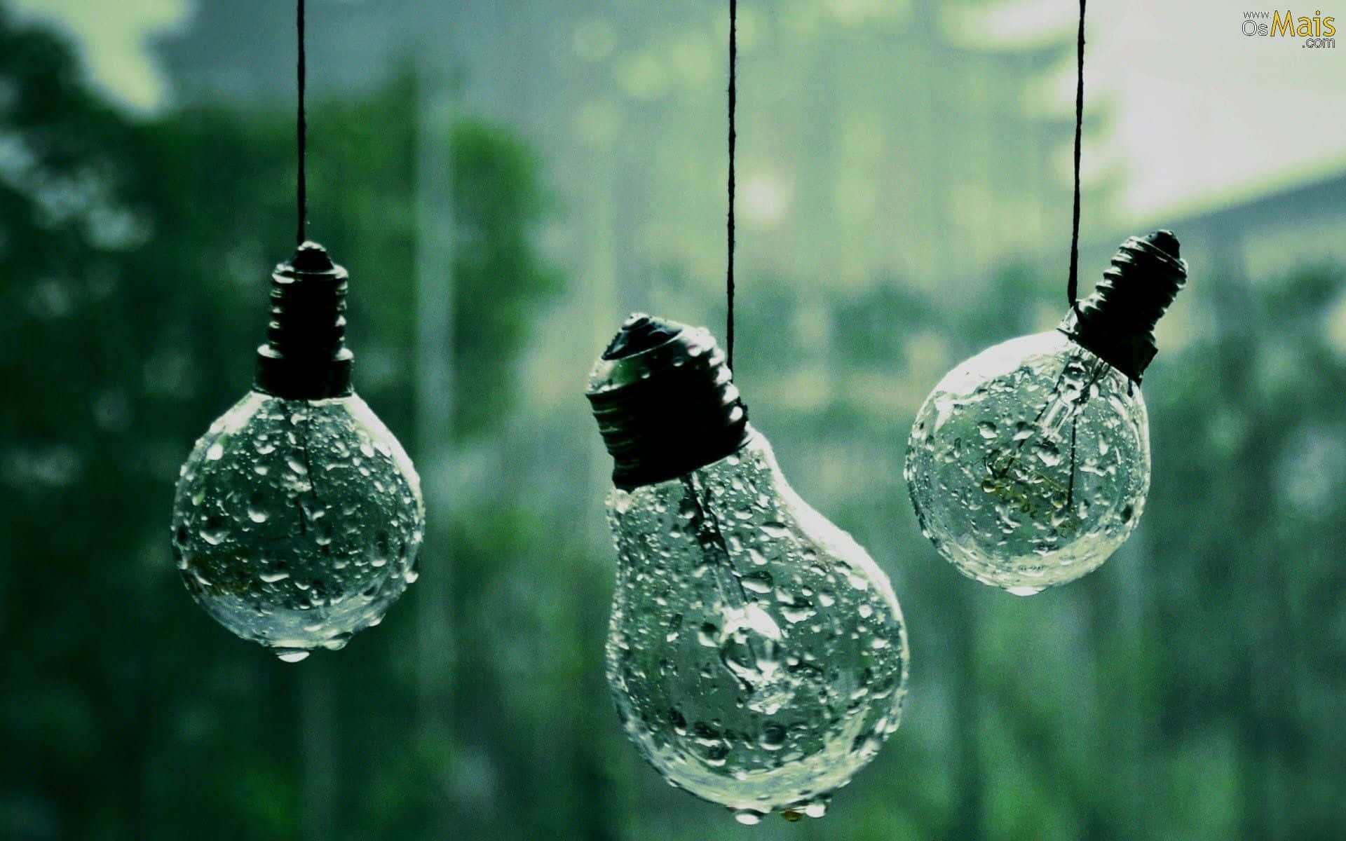 Green Aesthetic Light Bulbs Picture