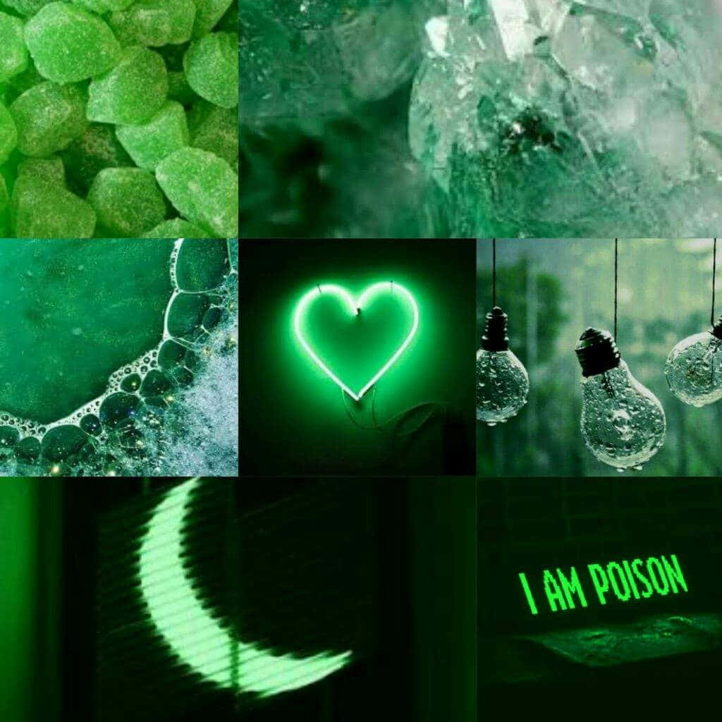Green Aesthetic Sqaure Picture