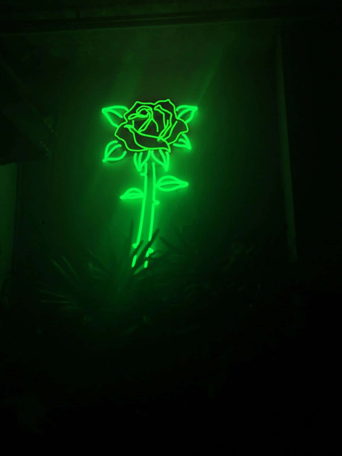 Immagineestetica Verde Con Rose