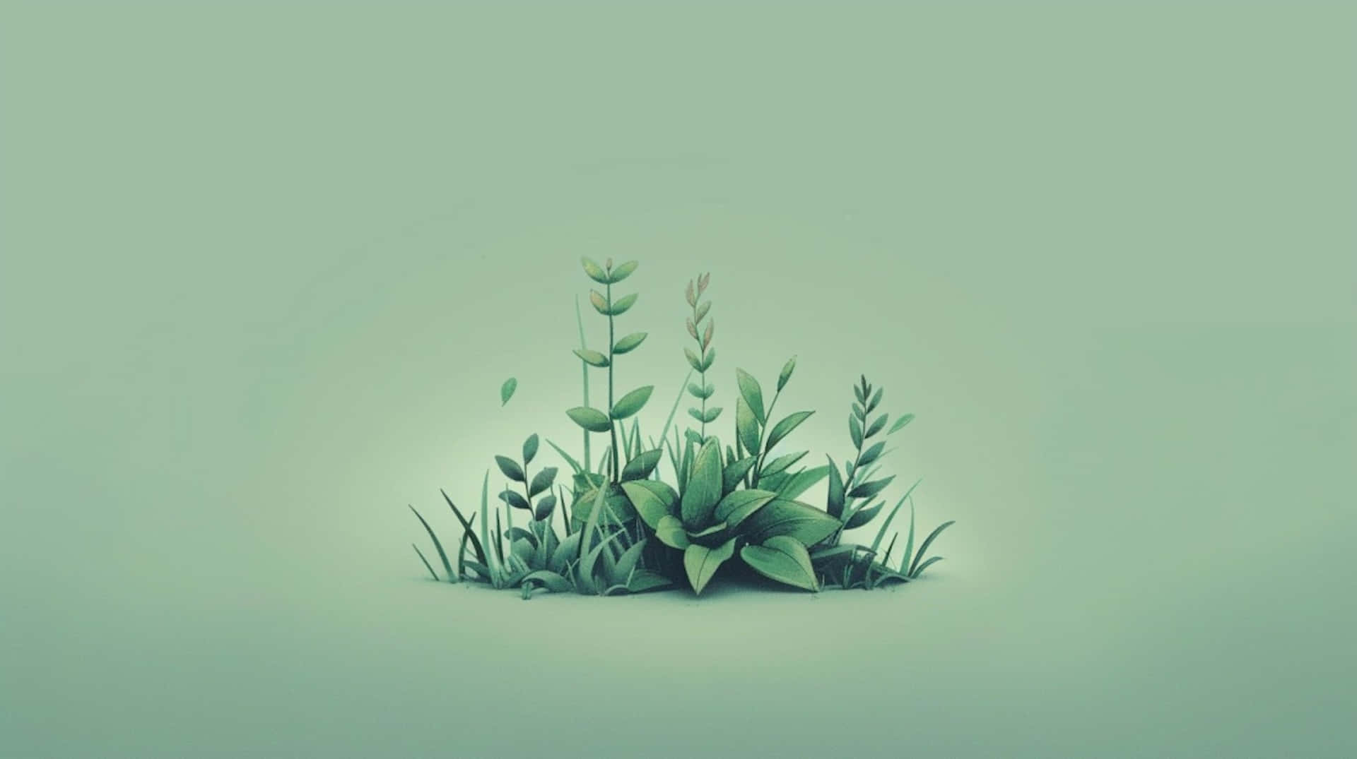 Green Aesthetic Plant Assembly Wallpaper Wallpaper