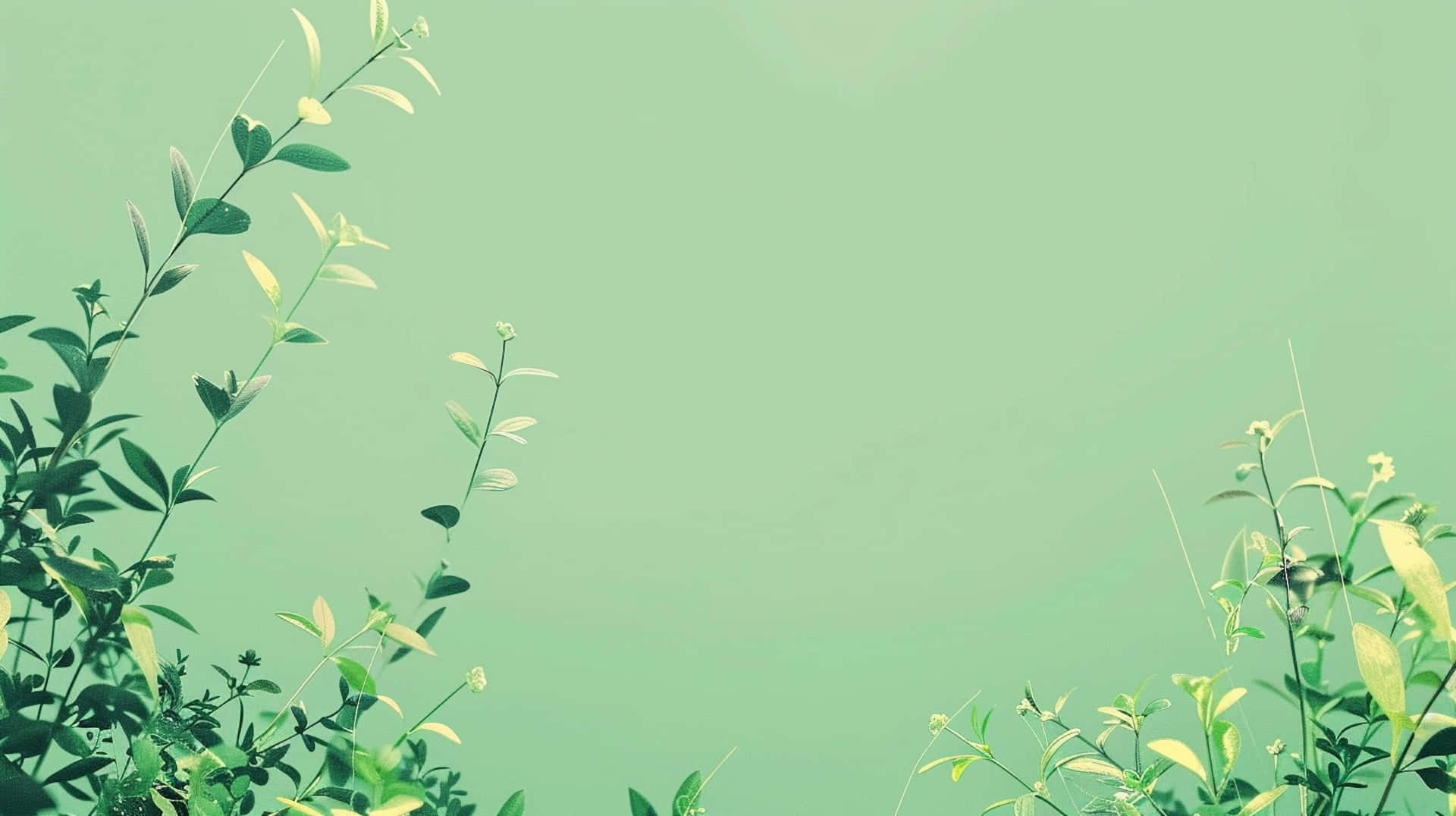Green Aesthetic Plant Backdrop Wallpaper