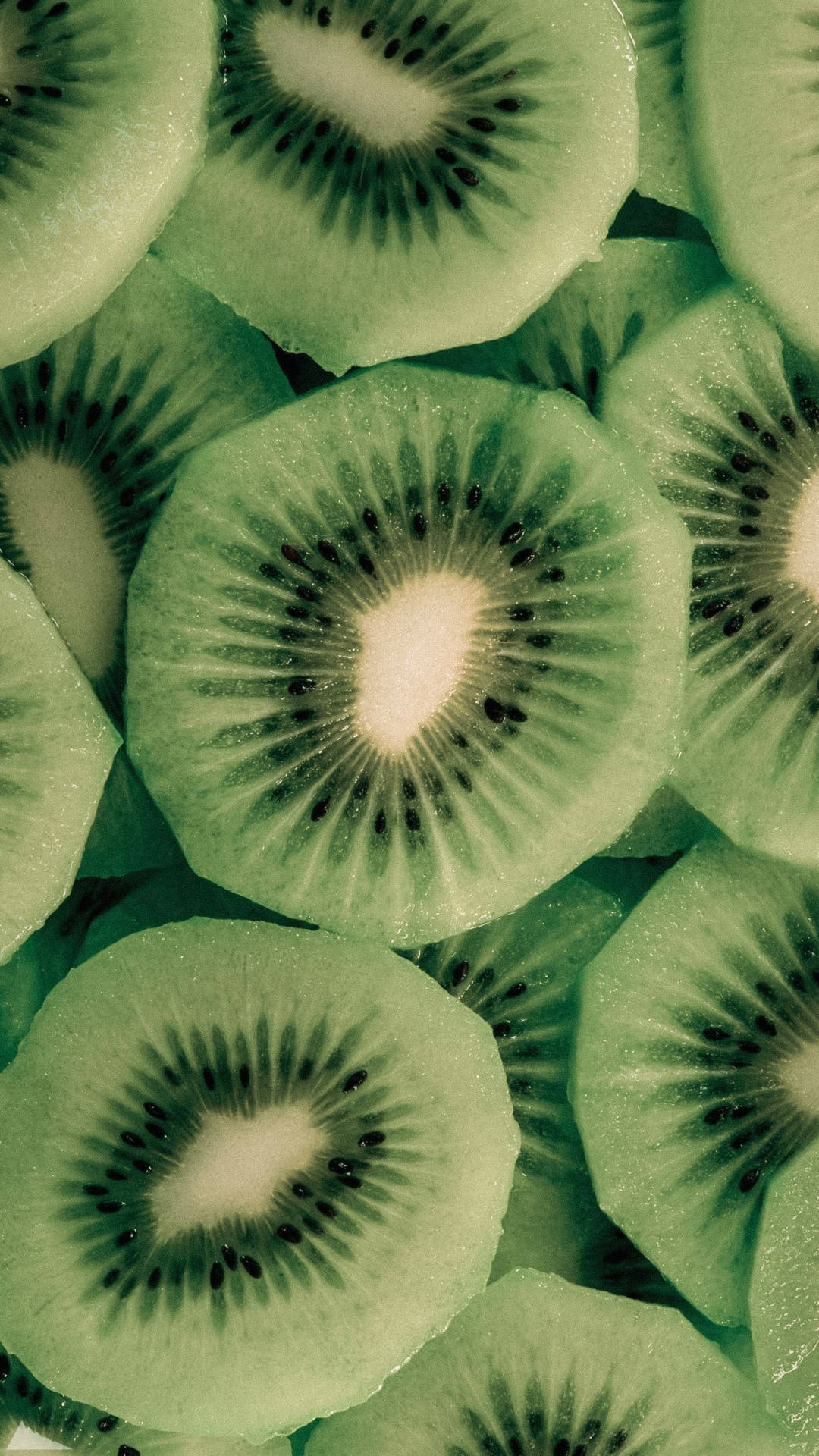 Green Aesthetic Tumblr Kiwi Slices Wallpaper