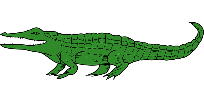 Green Alligator Illustration PNG