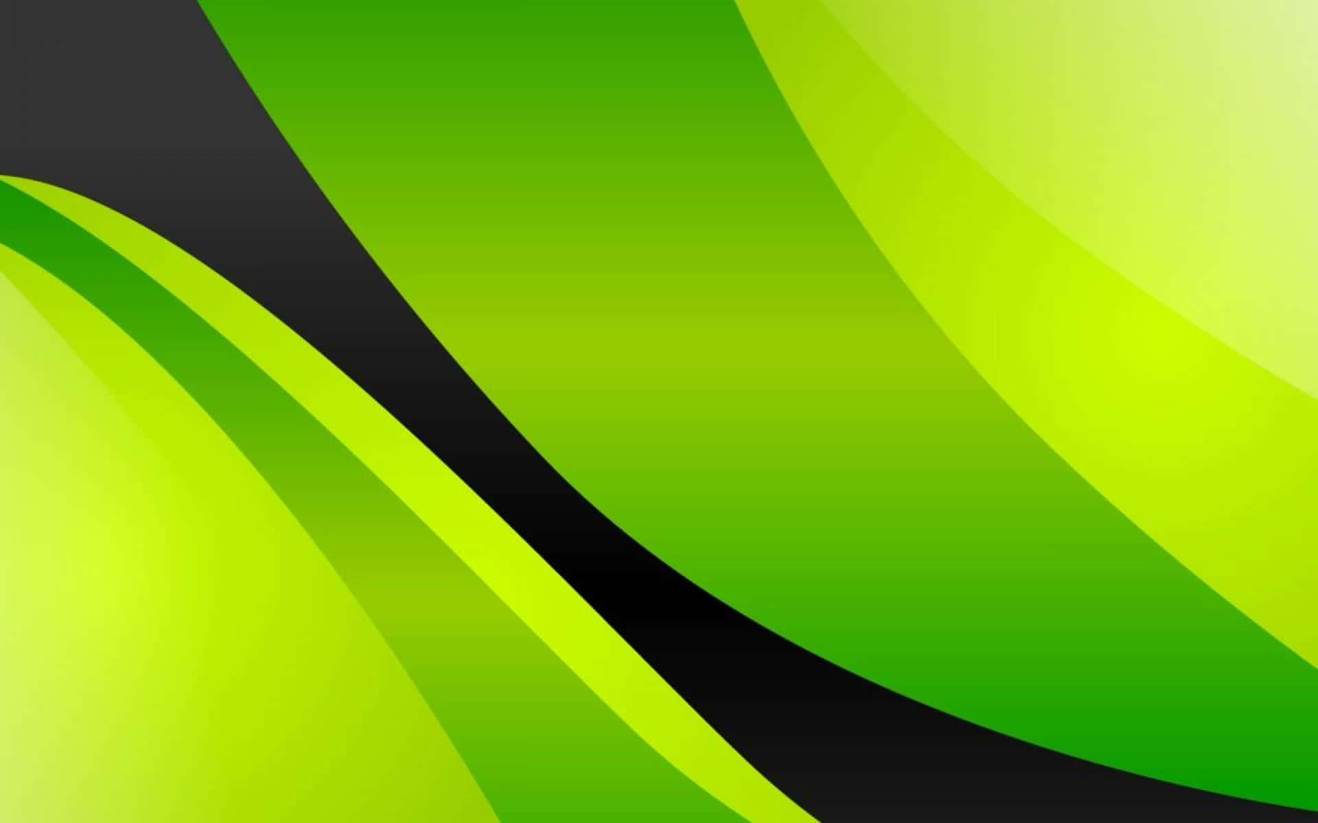 Green And Black Background&Avocado Green Vector