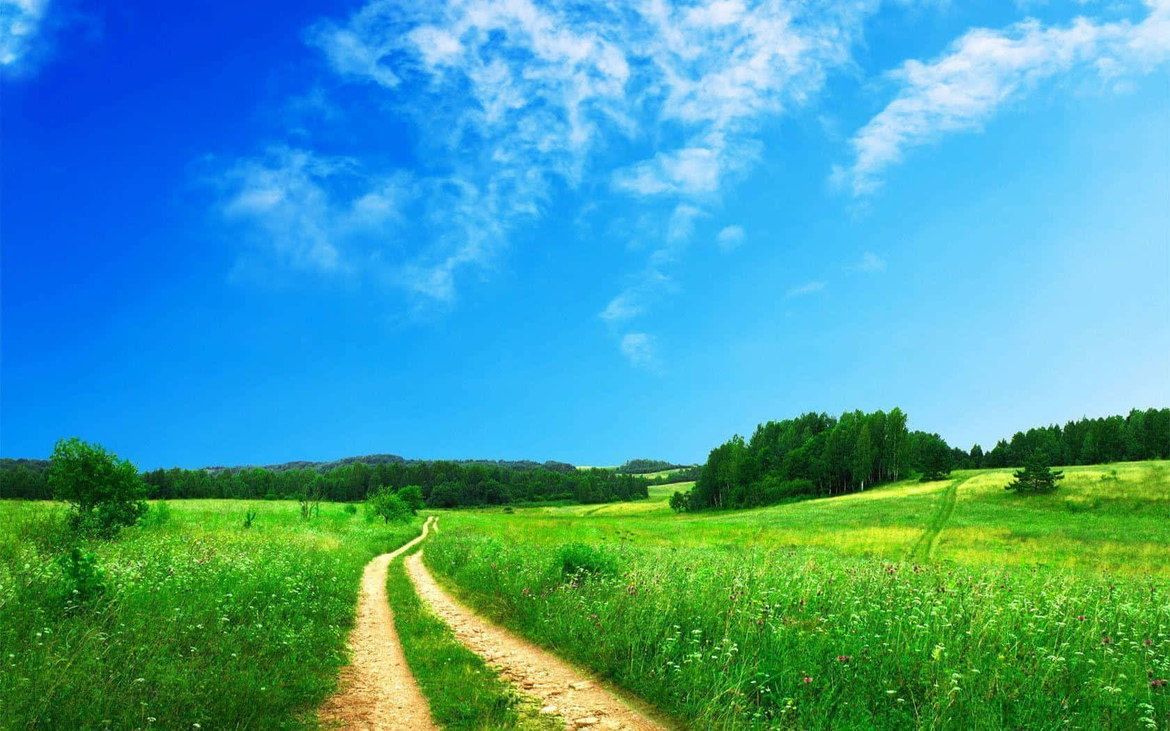 Green And Blue Countryside Winding Road Background