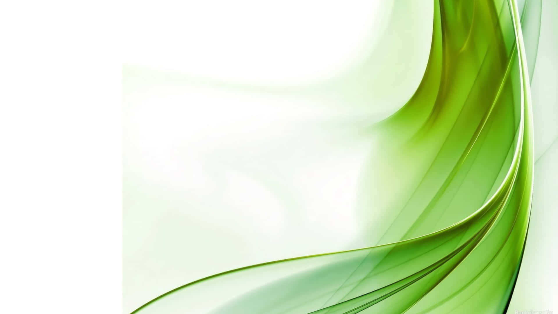 A vivid Green and White abstract background.