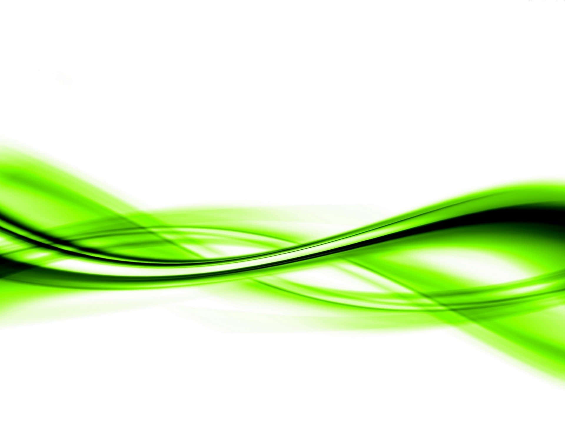 Image  Green and White Background