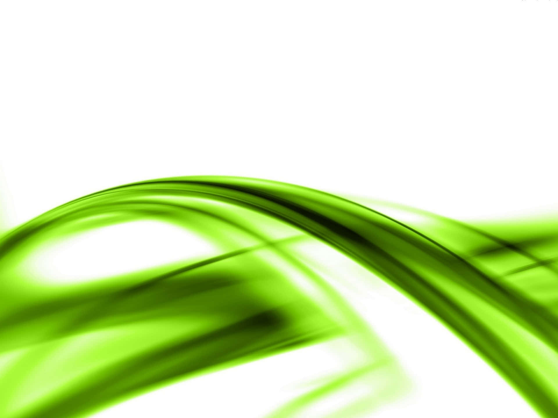 A vibrant green and white gradient background