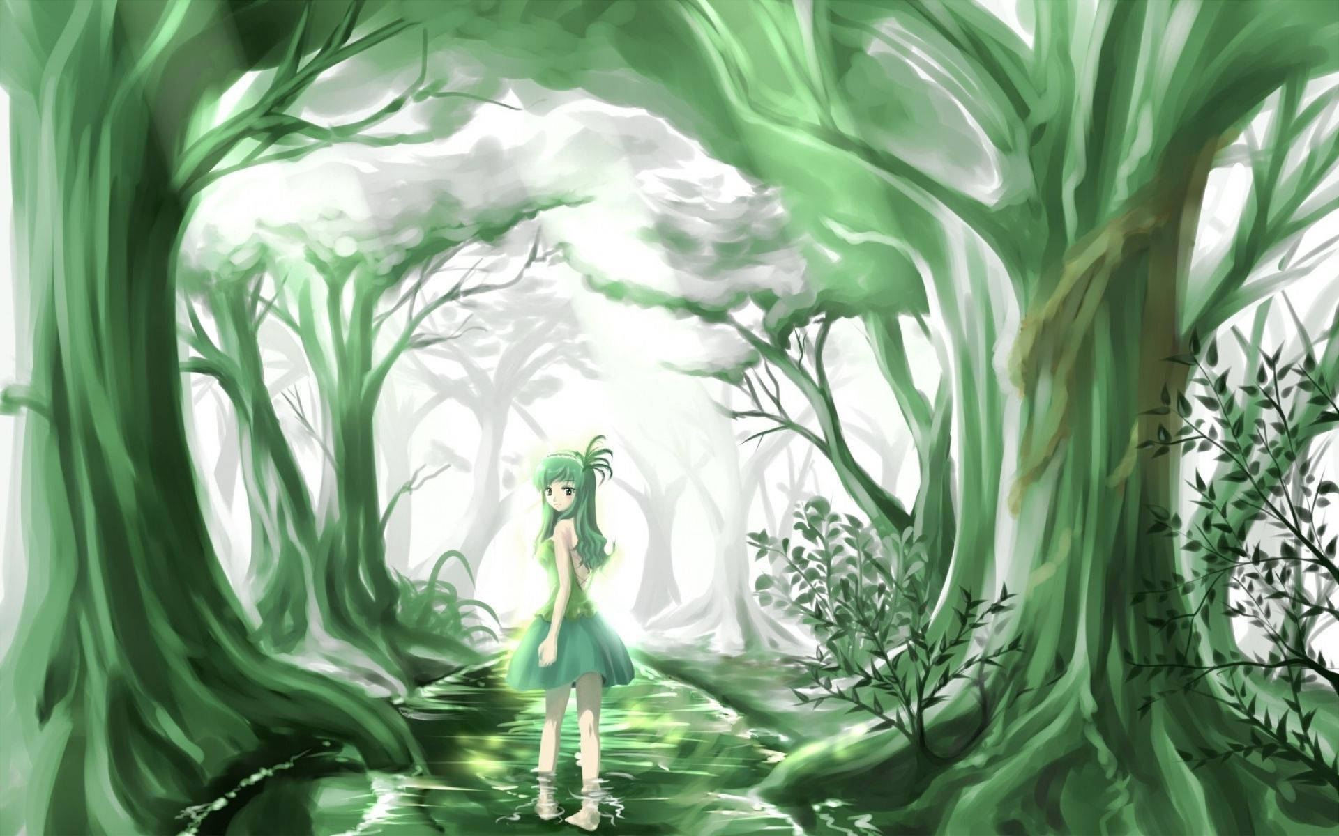 Skogsområdeav Träden Grönt Anime-estetiskt. Wallpaper