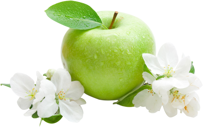 Green Apple With Blossoms PNG