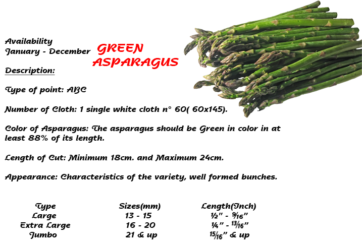 Green Asparagus Product Specifications PNG