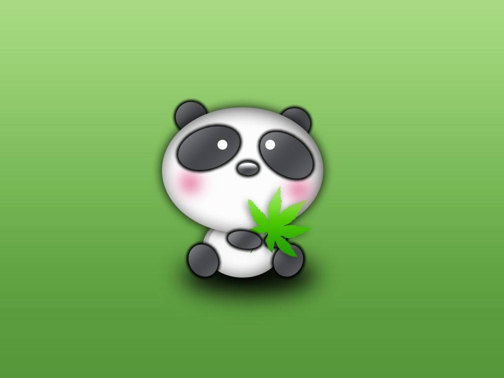 Green Background Baby Panda