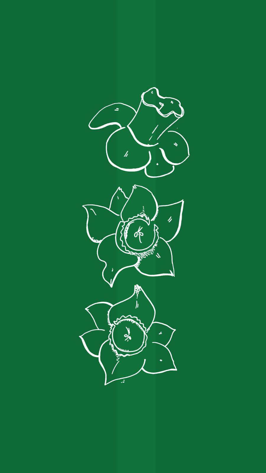 Green Background Floral Sketch Wallpaper