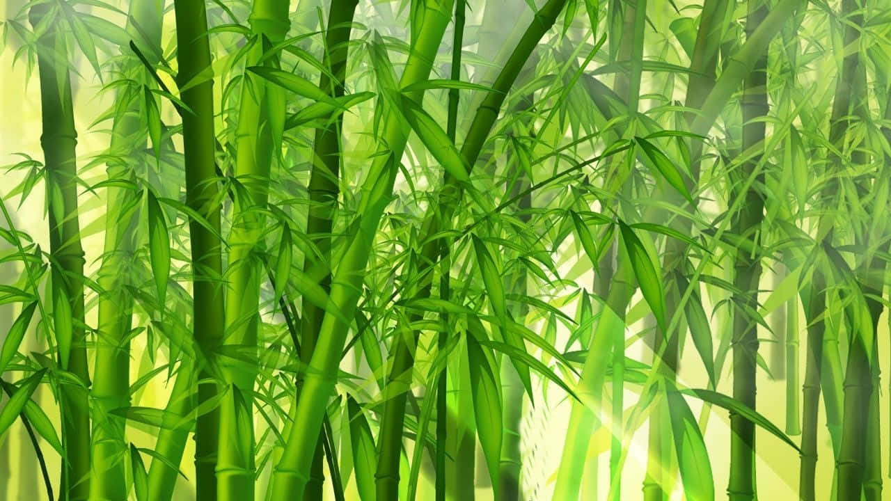 'Hæsblæsende grøn bambus i dens naturlige habitat' Wallpaper