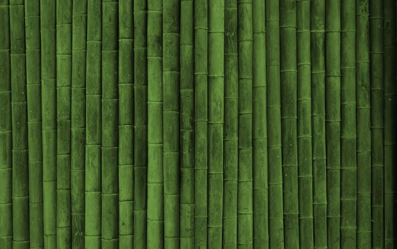 Einefülle Von Grünen Bambus Wallpaper