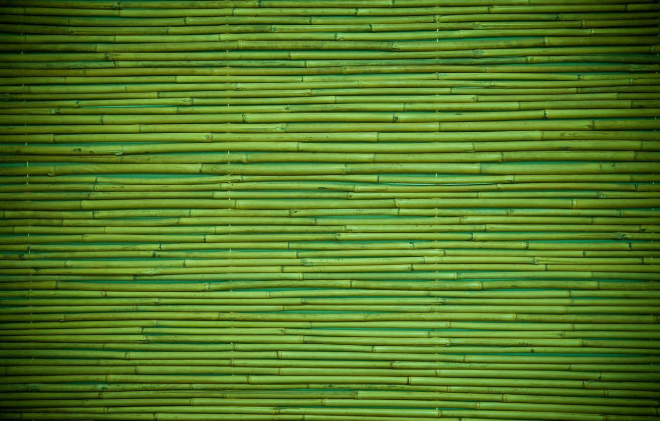 Fridfullgrönskande Bambuskog Wallpaper