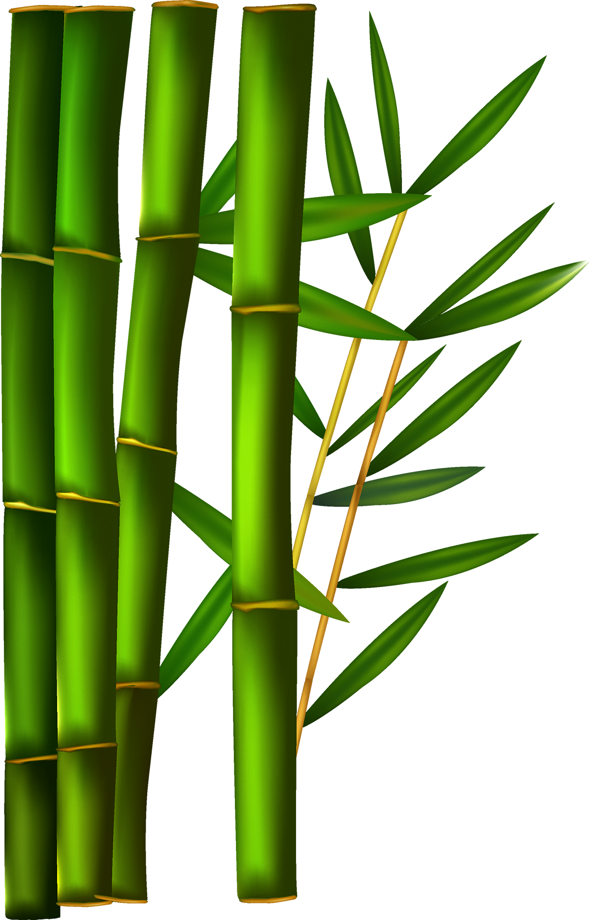 Green Bamboo Stalksand Leaves PNG
