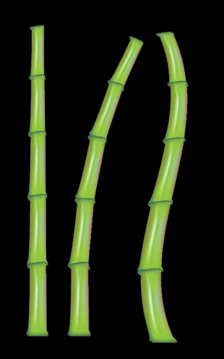 Green Bamboo Stickson Black Background PNG
