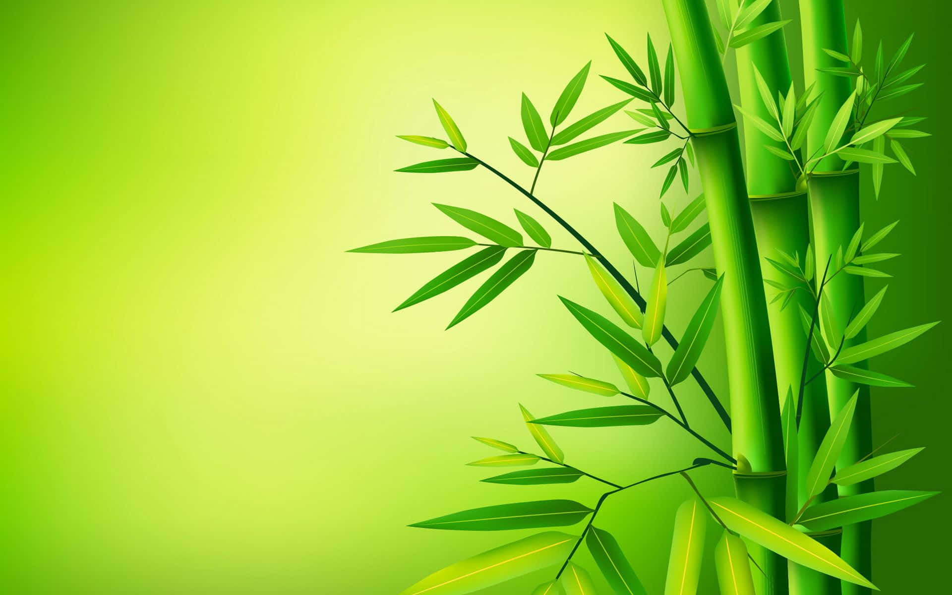 The serenity of a beautiful green bamboo forest Wallpaper