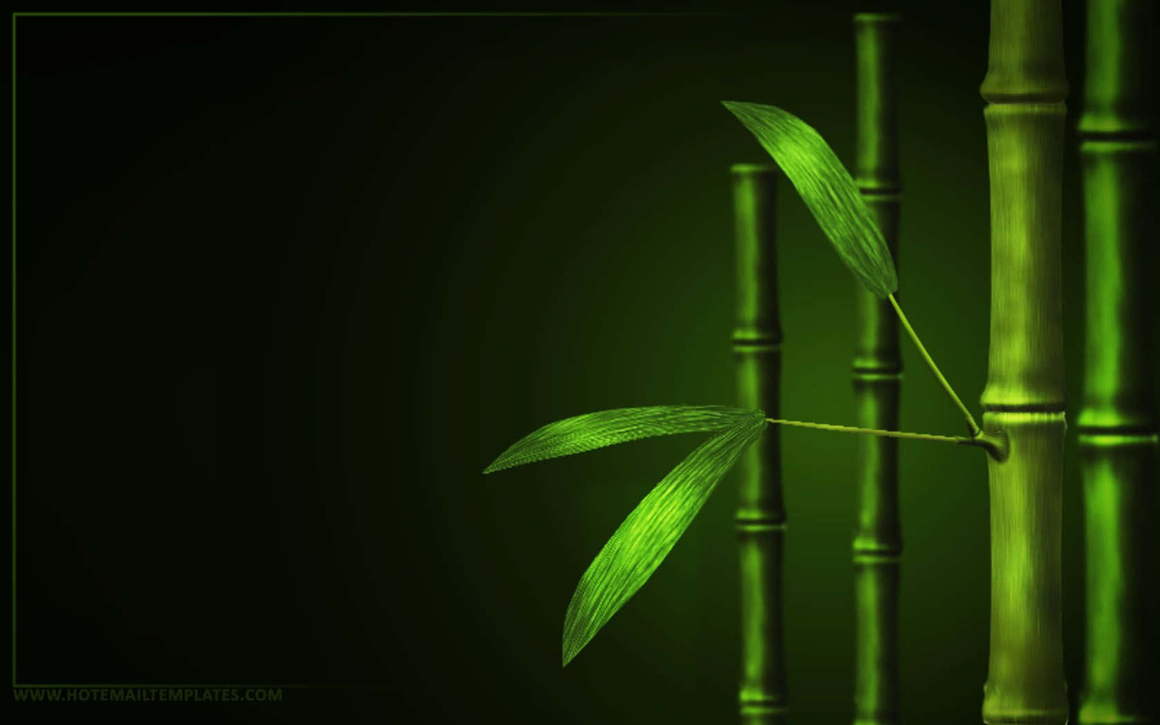 A Stunning Green Bamboo Forest Wallpaper