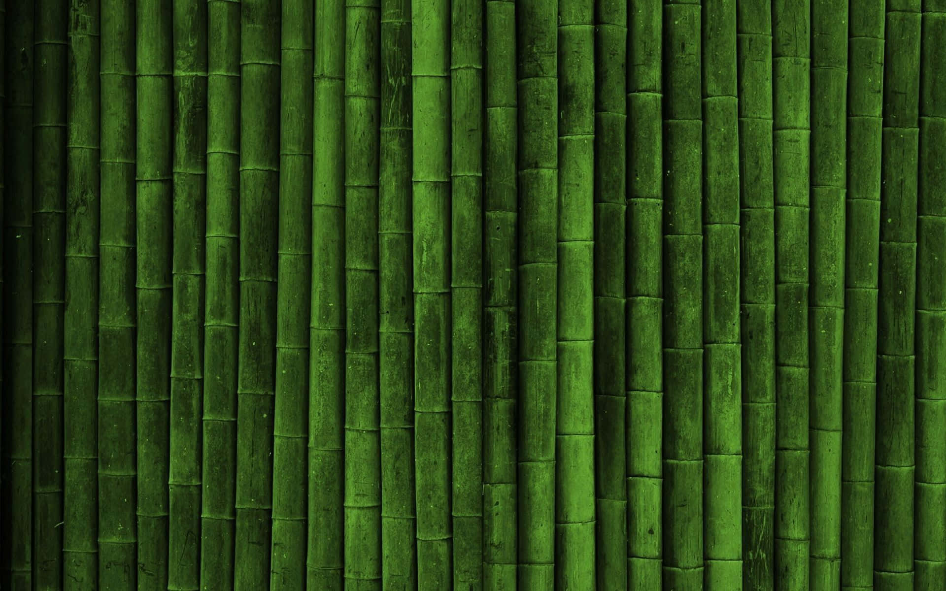 Grönoch Frodig Bambuskog I Naturen. Wallpaper