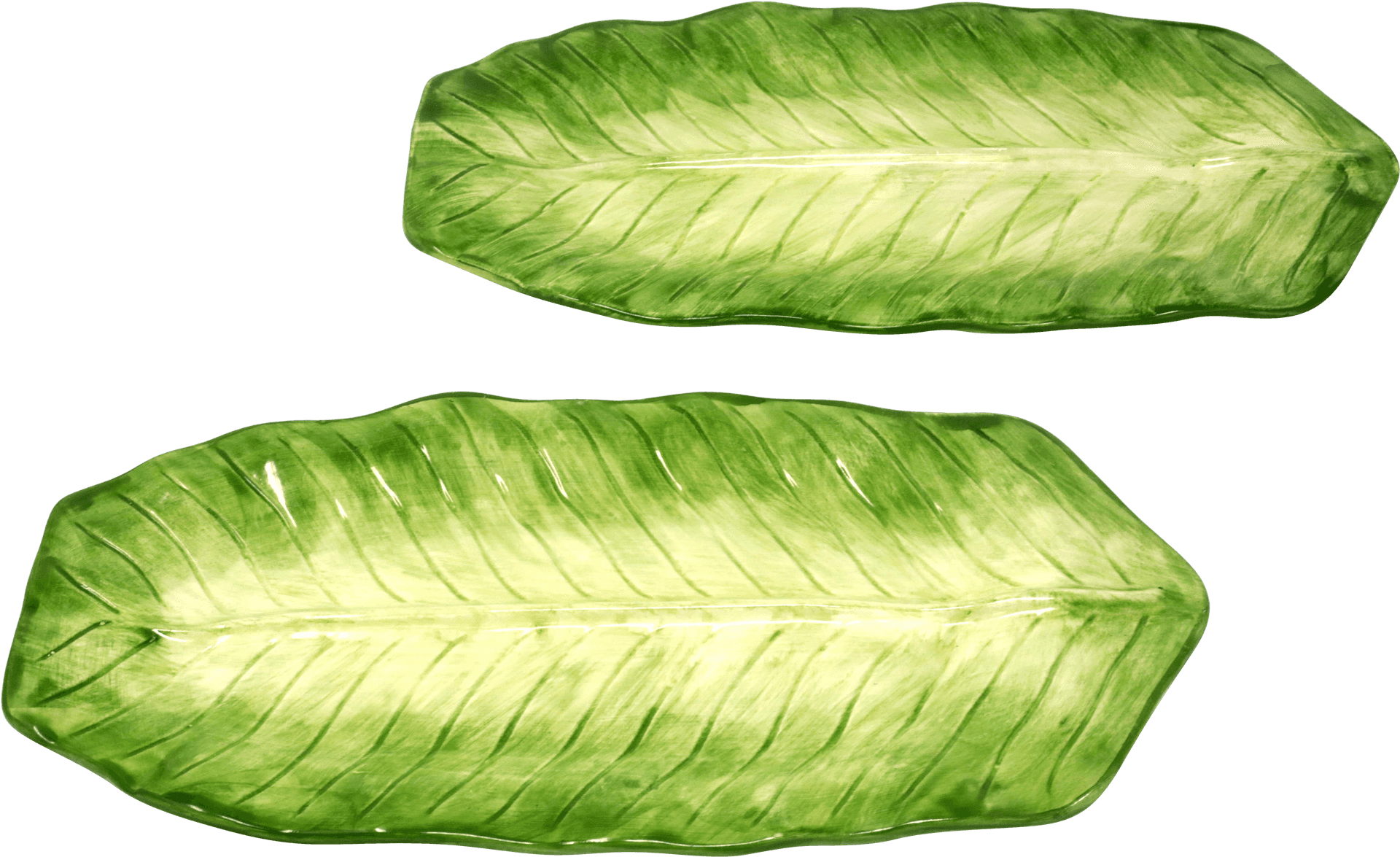 Green Banana Leaves Isolated PNG