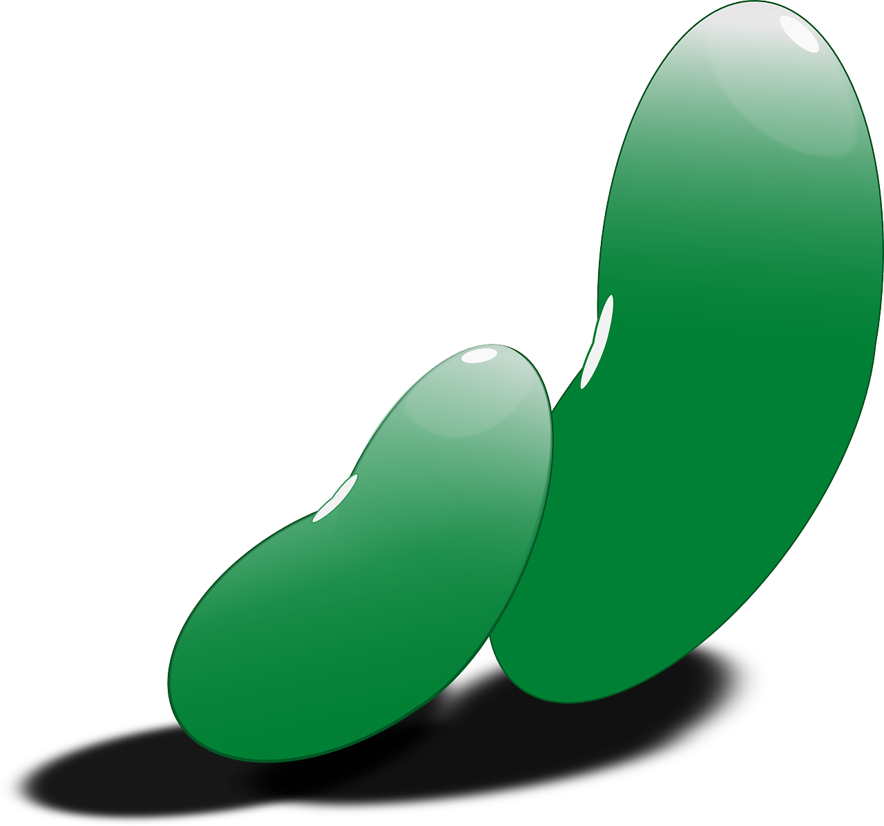 Green Beans Illustration PNG