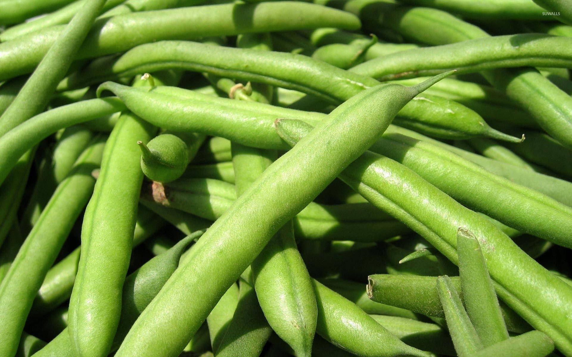 Green Beans In Daylight Picture