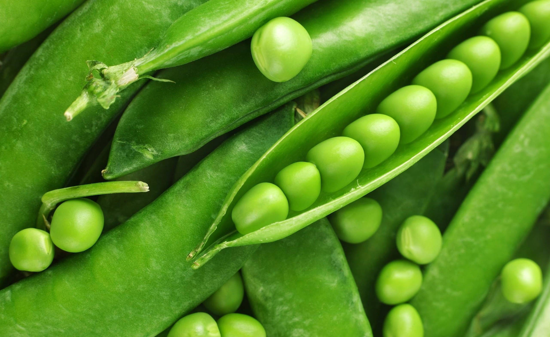 Green Beans Round Pods Background