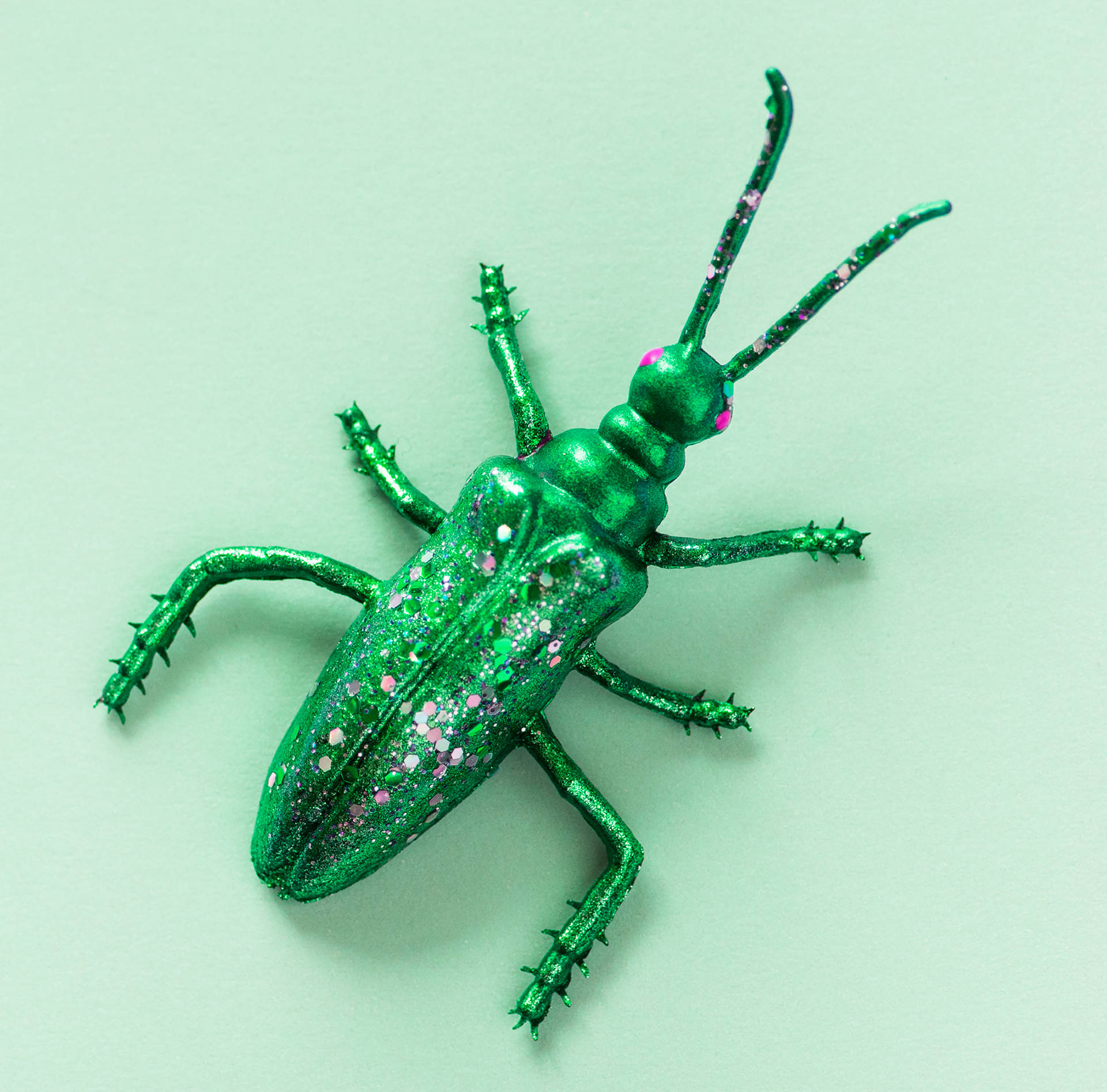 Green Beetle Toy Wallpaper