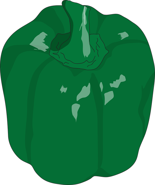 Green Bell Pepper Illustration PNG