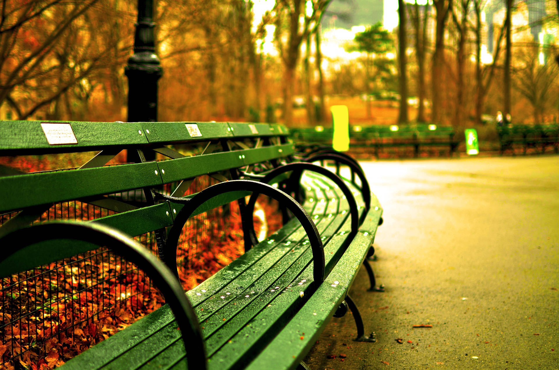 Green Bench Close-up In Central Park Wallpaper