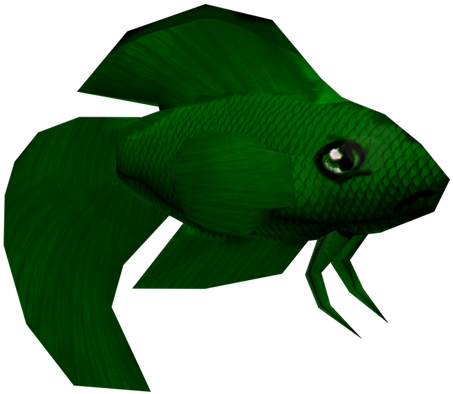 Green Betta Fish3 D Model PNG
