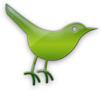 Green Bird Logo PNG