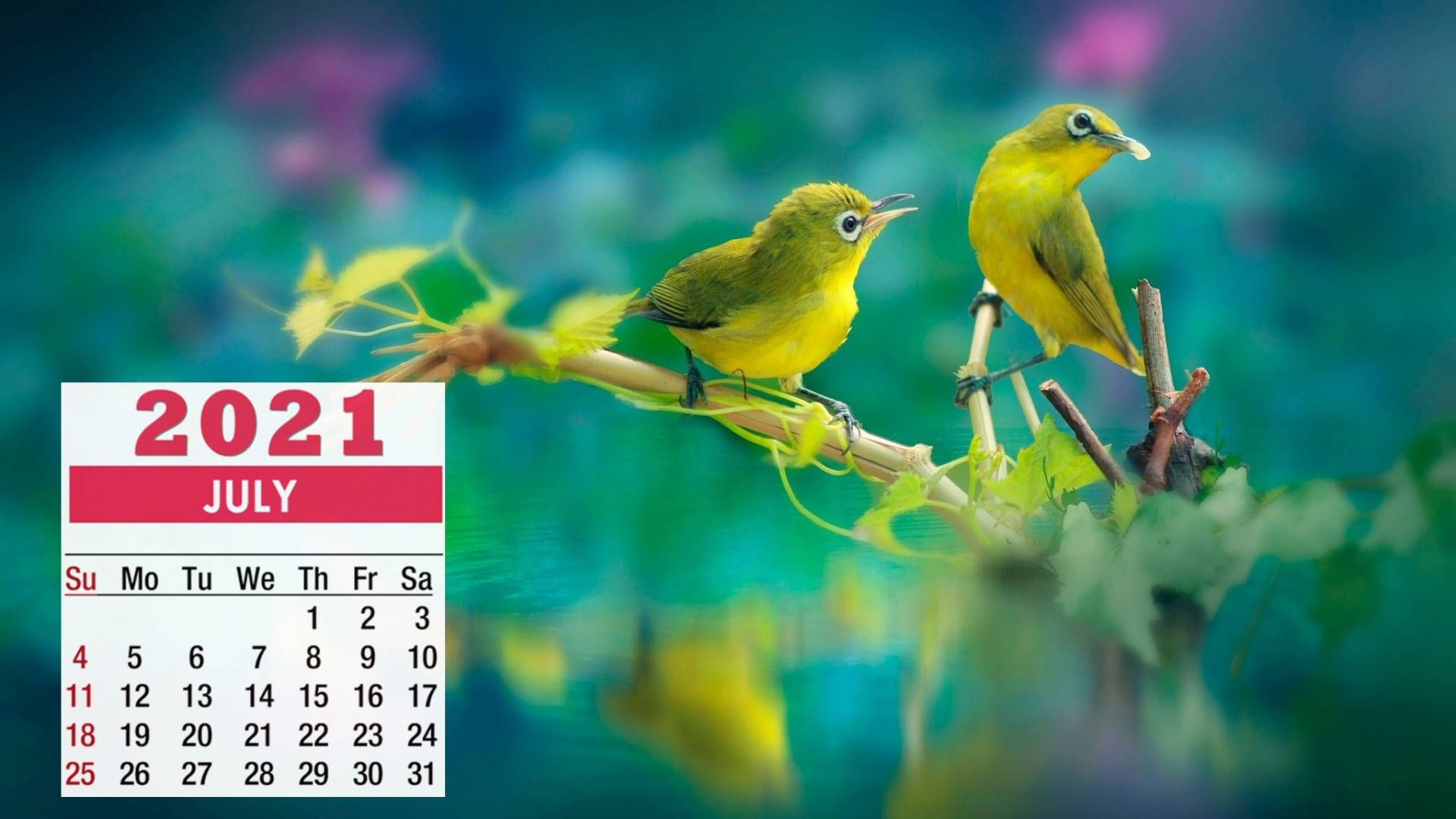 Welcome the arrival of July with two vibrant green birds Wallpaper