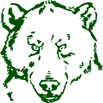 Green Black Bear Graphic PNG