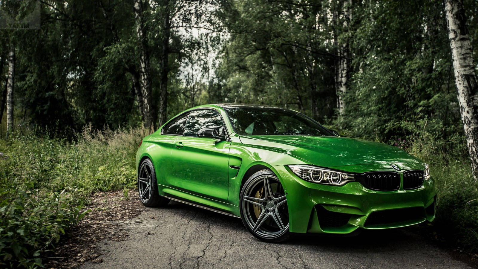 Green Bmw M4 In Forest Wallpaper