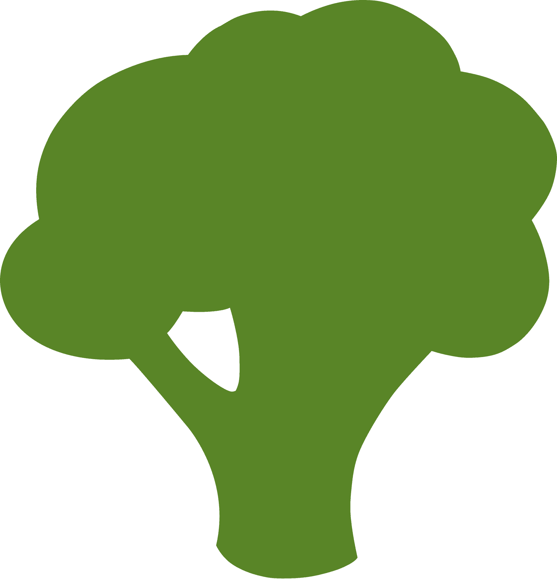 Green Broccoli Icon PNG