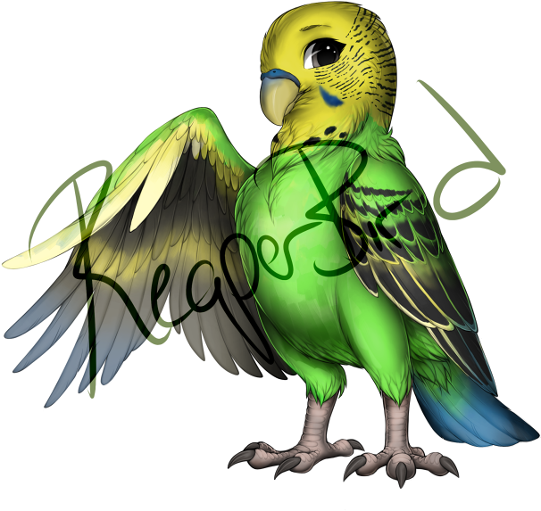 Green Budgie Spreading Wings PNG