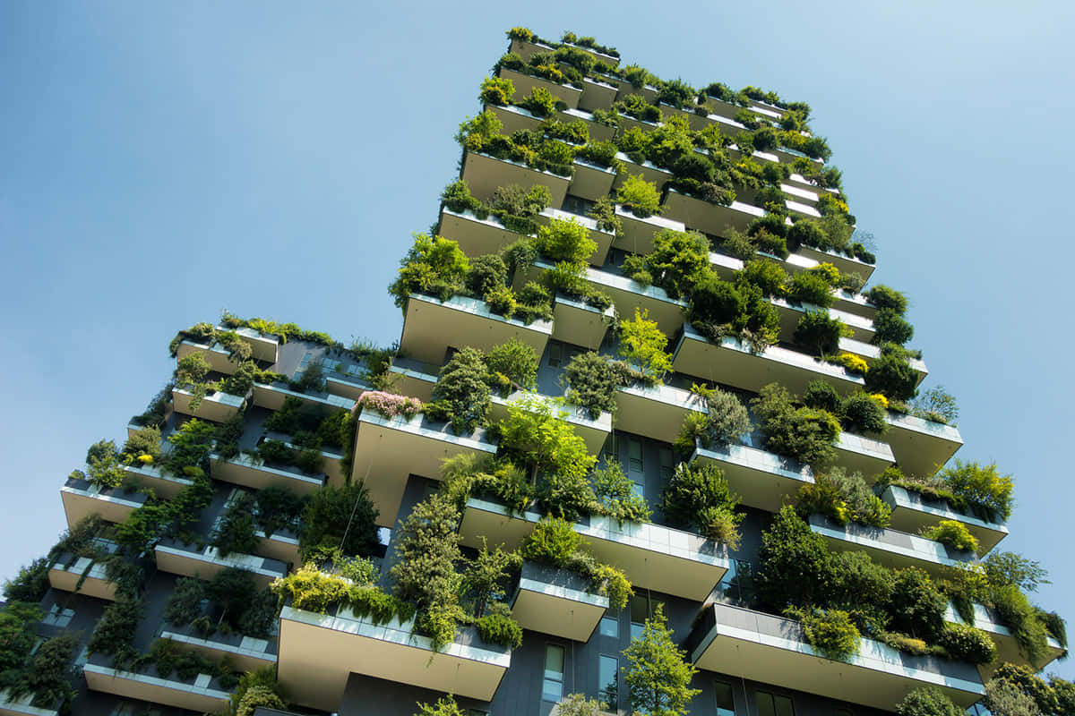 Sustainable Green Building Initiative Wallpaper