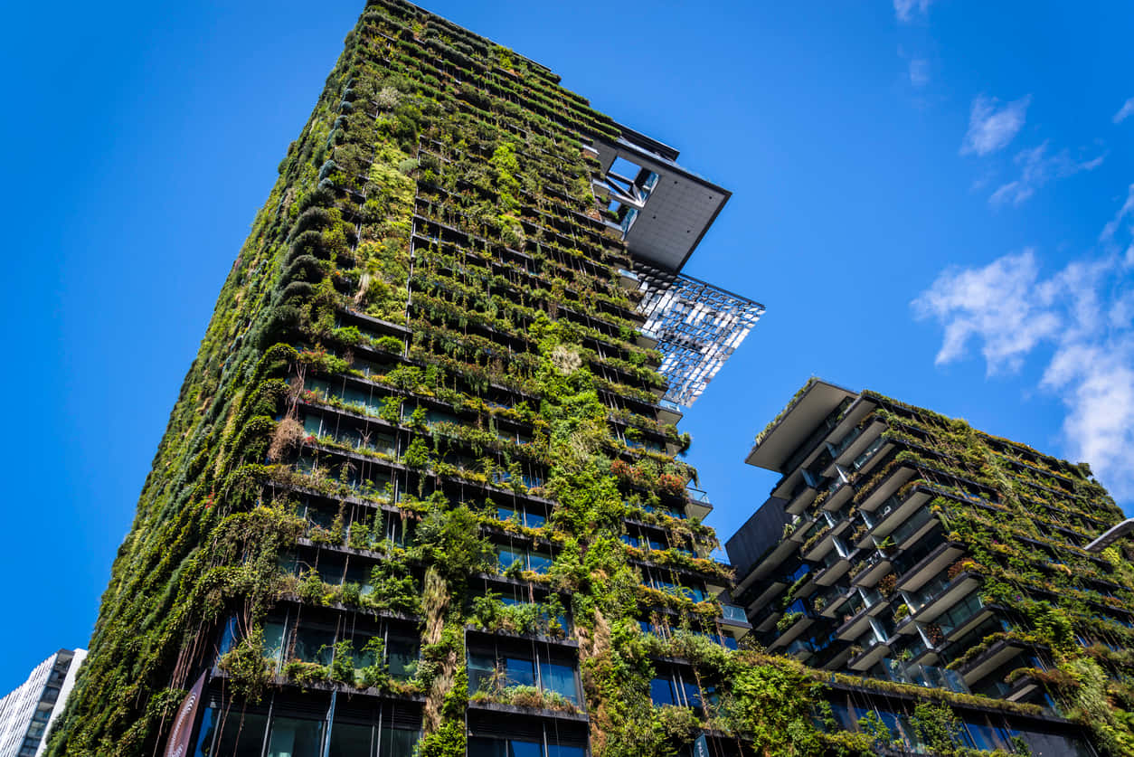 Sustainable Green Building Design Wallpaper