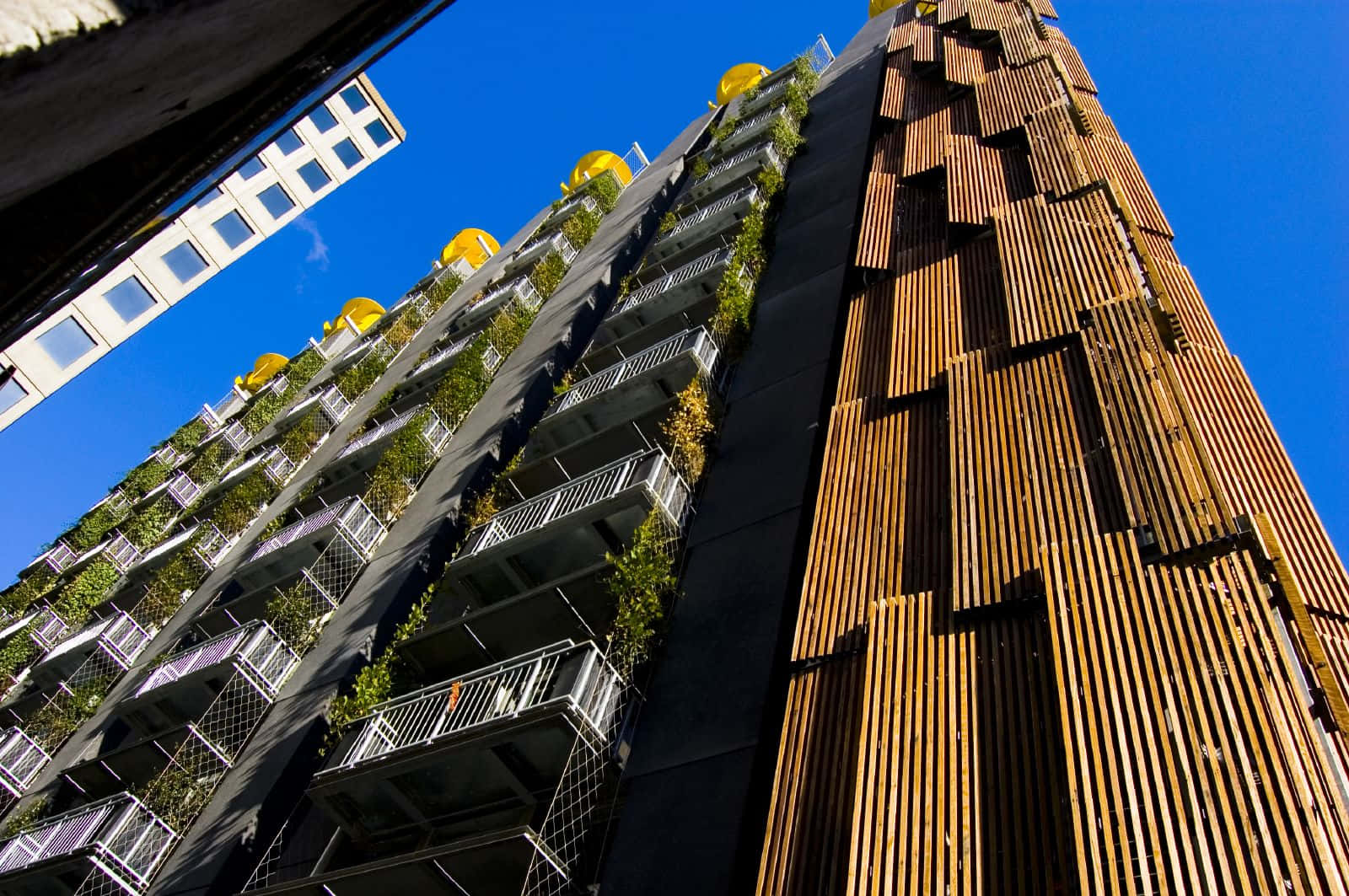 Green Buildings in an Urban Area Wallpaper