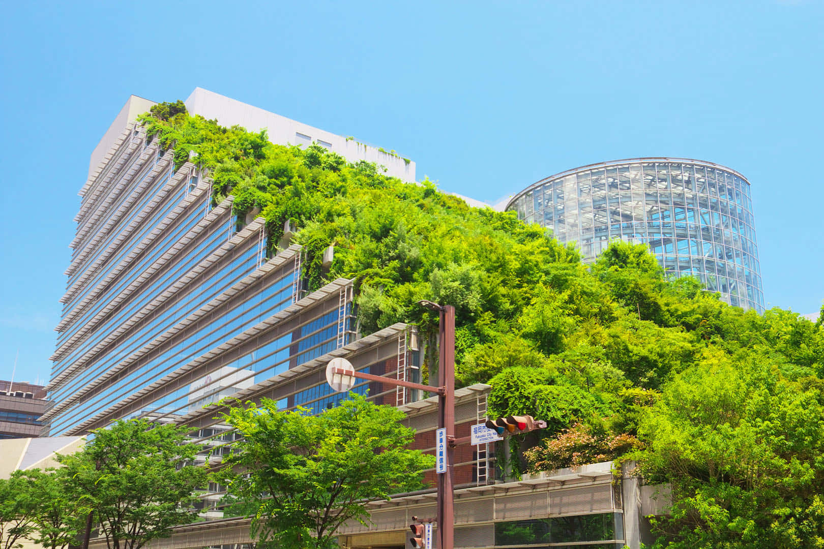Caption: Sustainable Green Buildings Wallpaper