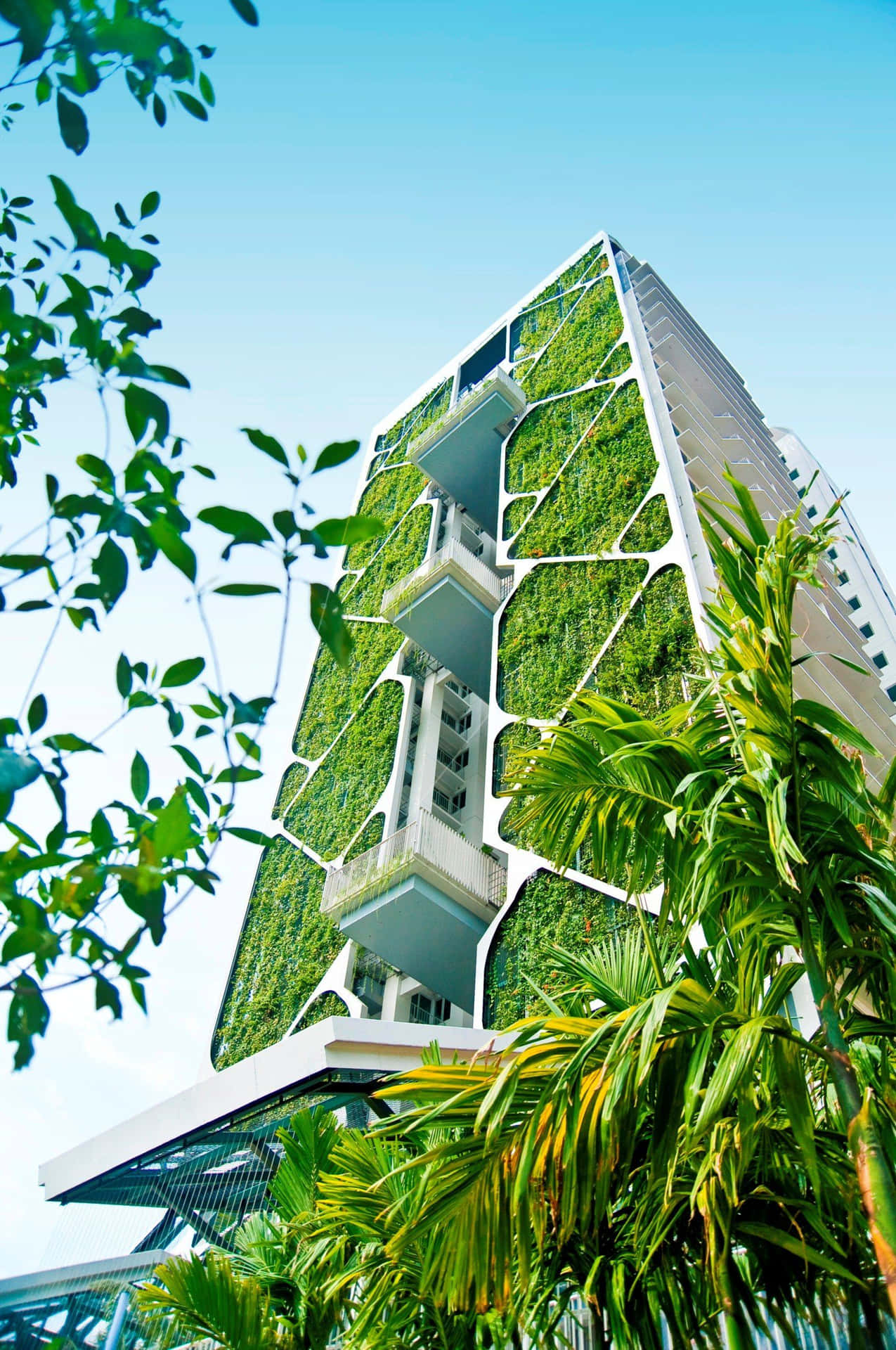 Modern Green Building Architecture Wallpaper