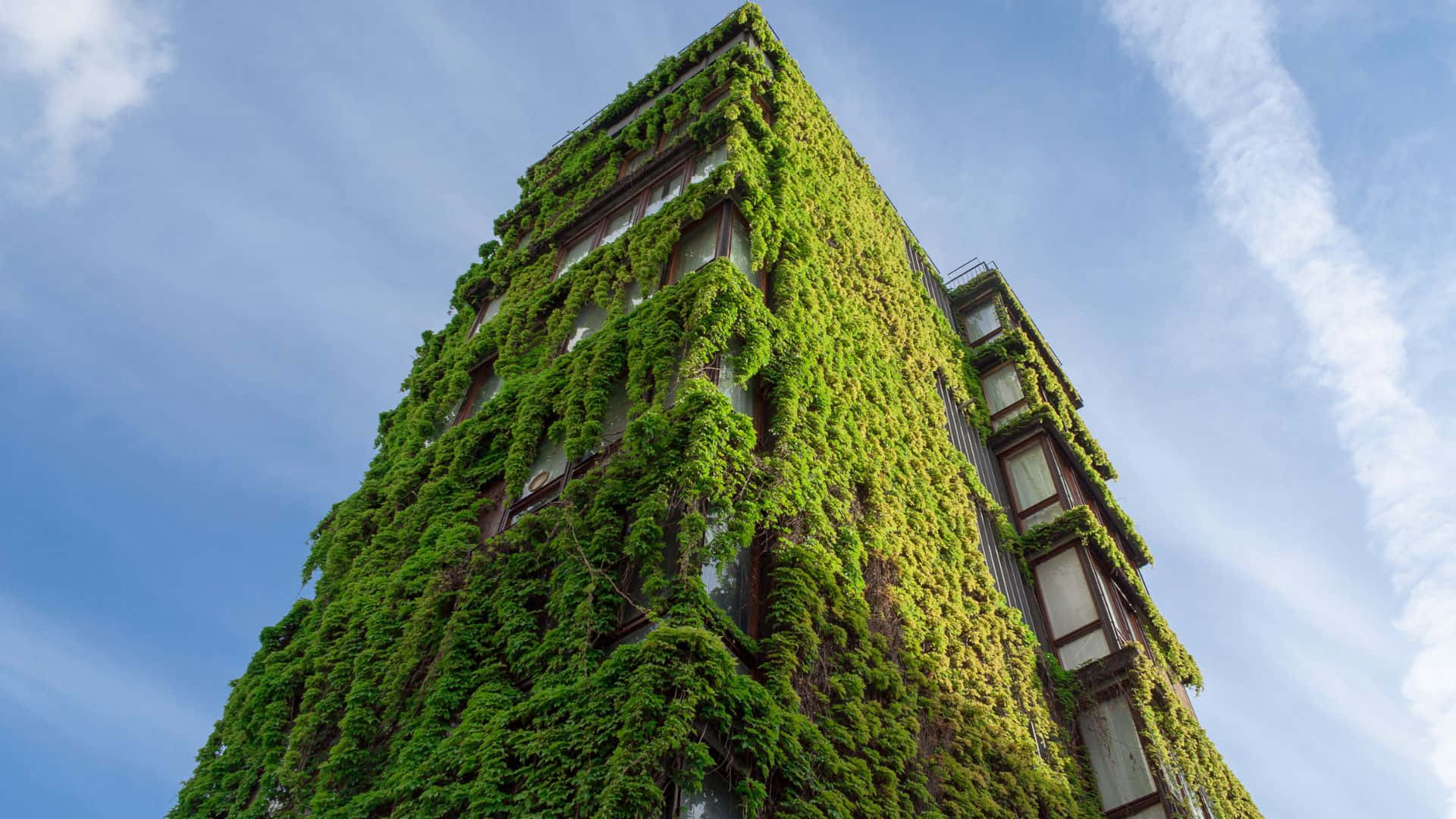 Stunning Green Building Facade Wallpaper