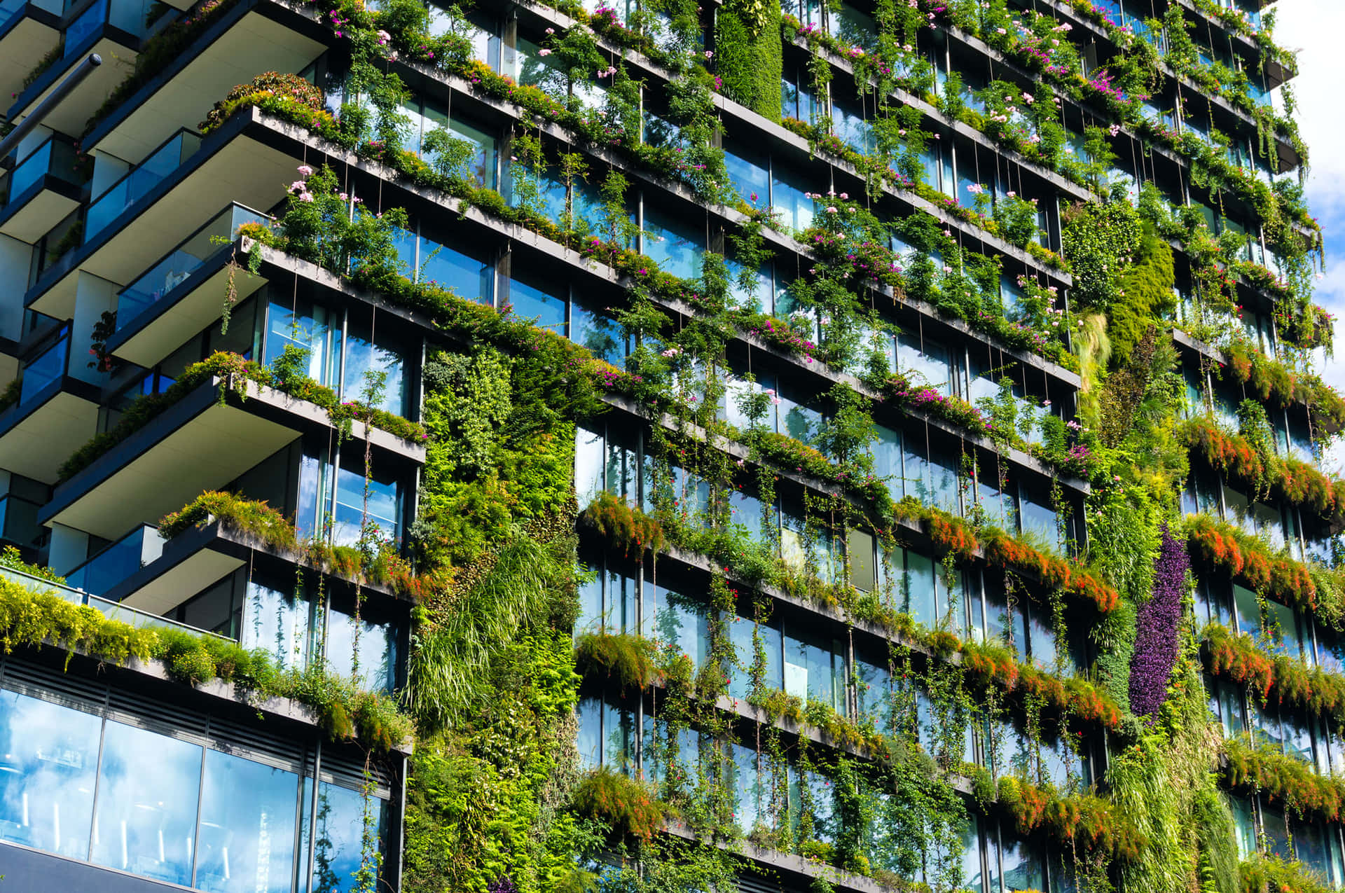 Sustainable Green Building Complex Wallpaper